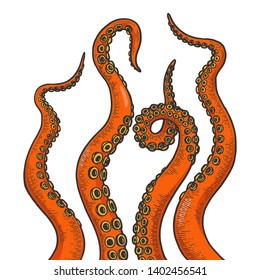 Octopus tentacle set color sketch line art engraving vector illustration. Scratch board style imitation. Black and white hand drawn image.