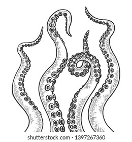Octopus tentacle set sketch engraving vector illustration. Scratch board style imitation. Black and white hand drawn image.