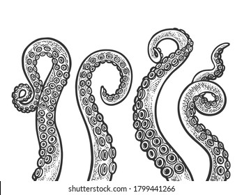 Octopus tentacle set sketch engraving vector illustration. T-shirt apparel print design. Scratch board imitation. Black and white hand drawn image.