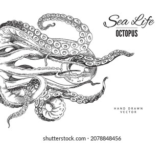 Octopus tentacle vector sketch  Realistic squid cuttlefish ink drawing  vintage line engraving  Sea food menu package design 