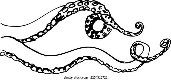 Octopus tentacles black and white vector illustration isolated on a white background.