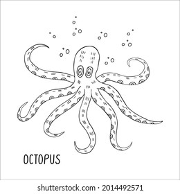 Octopus with tentacles and bubbles around, black and white outline. Hand drawn vector illustration isolated on white background. 