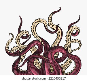 Octopus tentacles. Engraved hand drawn in old sketch, vintage creature. Nautical or marine, monster. Animal in the ocean. Template for logos, labels and emblems.