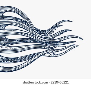 Octopus tentacles. Engraved hand drawn in old sketch, vintage creature. Nautical or marine, monster. Animal in the ocean. Template for logos, labels and emblems.