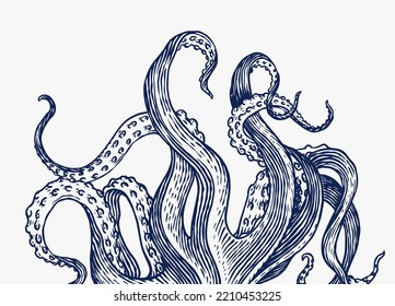 Octopus tentacles. Engraved hand drawn in old sketch, vintage creature. Nautical or marine, monster. Animal in the ocean. Template for logos, labels and emblems.