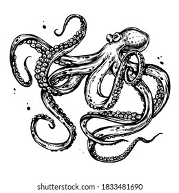 Octopus with tentacles. Hand drawn ink doodle sketch, black and white line art, stock vector illustration isolated on white background. Design for tattoo, coloring book page.