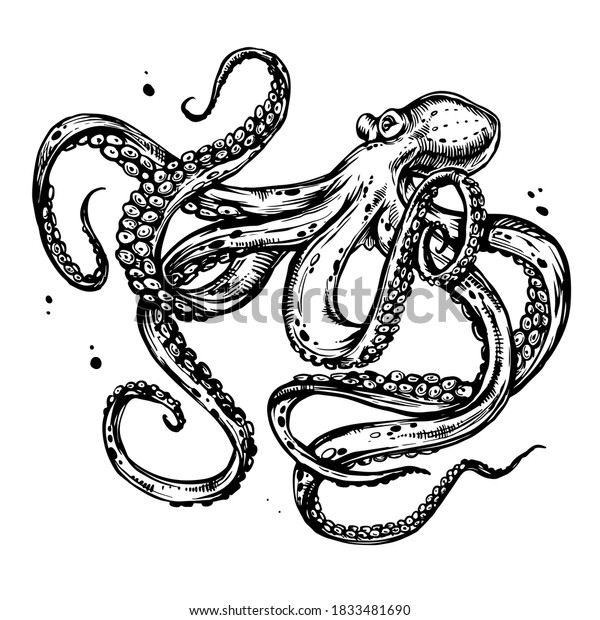 Octopus Tentacles Hand Drawn Ink Doodle Stock Vector (Royalty Free ...