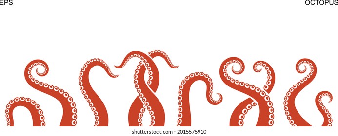 Octopus tentacles. Isolated octopus tentacles on white background