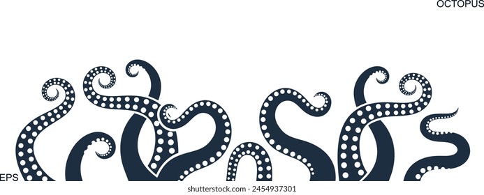 Octopus tentacles. Isolated octopus tentacles on white background