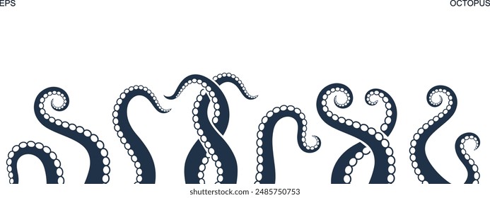 Octopus tentacles. Isolated octopus tentacles on white background