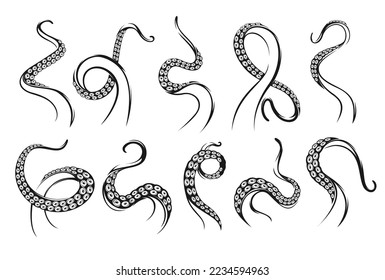 Hand drawn sketch of octopus tentacle. Vector aquatic monochrome  illustration isolated on white background. 25767373 Vector Art at Vecteezy