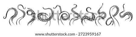 Octopus tentacles. Kraken squid monster tattoo. Ocean scary monster or fantasy sea deep creature arm, isolated monochrome vector octopus curved, spiral tentacles with suckers