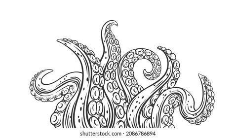 Octopus tentacles outline banner. Drawn monochrome limbs of the sea monster kraken. Vector illustration of sea octopus twisted tentacles with sucker