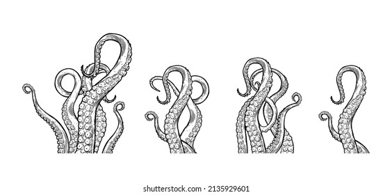 Octopus tentacles reaching upwards, squid-like marine animal body parts protruding from out of frame, cut for food or frame design, cartoon sketch vector illustration. 