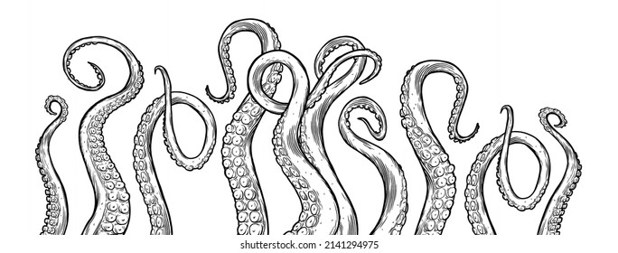 Los tentáculos del pulpo alcanzando hacia arriba, partes del cuerpo animal marino tipo calamar que sobresalen de fuera del marco, cortadas para el diseño de alimentos o cuadros, dibujos animados ilustraciones vectoriales. 