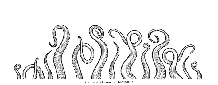 Octopus tentacles reaching upwards, squid-like marine animal body parts protruding from out of frame, cut for food or frame design, cartoon sketch vector illustration. 