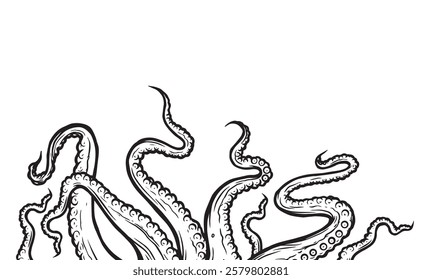 Octopus tentacles reaching upwards, squid-like marine animal body parts protruding from out of frame, cut for food or frame design, cartoon sketch vector illustration. 