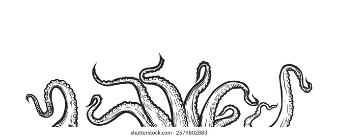 Octopus tentacles reaching upwards, squid-like marine animal body parts protruding from out of frame, cut for food or frame design, cartoon sketch vector illustration. 