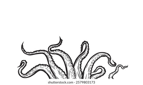 Octopus tentacles reaching upwards, squid-like marine animal body parts protruding from out of frame, cut for food or frame design, cartoon sketch vector illustration. 