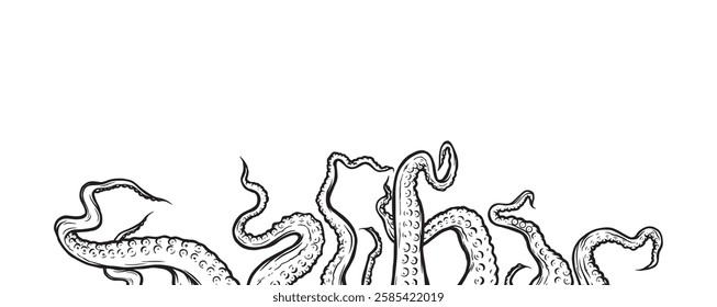 Octopus tentacles reaching upwards, squid-like marine animal body parts protruding from out of frame, cut for food or frame design, cartoon sketch vector illustration. 