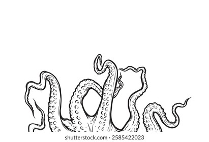 Octopus tentacles reaching upwards, squid-like marine animal body parts protruding from out of frame, cut for food or frame design, cartoon sketch vector illustration. 