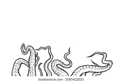 Octopus tentacles reaching upwards, squid-like marine animal body parts protruding from out of frame, cut for food or frame design, cartoon sketch vector illustration. 