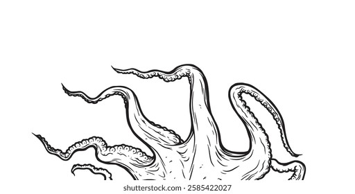 Octopus tentacles reaching upwards, squid-like marine animal body parts protruding from out of frame, cut for food or frame design, cartoon sketch vector illustration. 