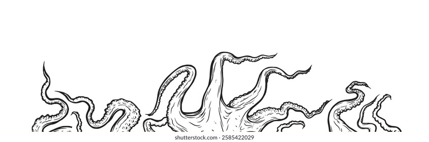 Octopus tentacles reaching upwards, squid-like marine animal body parts protruding from out of frame, cut for food or frame design, cartoon sketch vector illustration. 