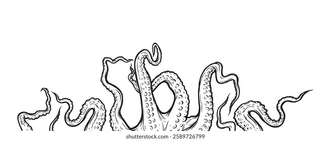 Octopus tentacles reaching upwards, squid-like marine animal body parts protruding from out of frame, cut for food or frame design, cartoon sketch vector illustration. 