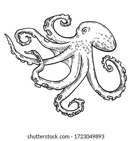 Octopus with tentacles, squid, black and white ink outline, etching hand drawn stock vector illustration isolated on white background. Design for coloring book page, tattoo sketch