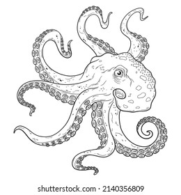 Octopus con tentáculos, contorno de tinta en calamar, negro y blanco, grabando ilustración vectorial de material dibujado a mano aislada en fondo blanco. Diseño de la página del libro de coloreado, esbozo de tatuajes