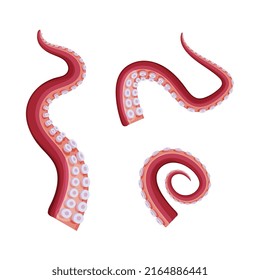 Octopus tentacles with suckers set, underwater marine creature body part cartoon vector illustration