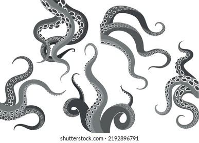 Octopus tentacles. Underwater wild sea squid tentacle set, ocean monster arms, marine octobpus hand vector engraving, scary kraken antennas