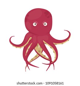 Octopus tentacles vector sea animal isolated on white background squid marine water seafood ocean fish vector illustration. Aquatic underwater cuttlefish monster character.