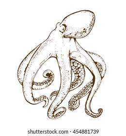 octopus with tentacles vintage line art hand drawn vector sketch