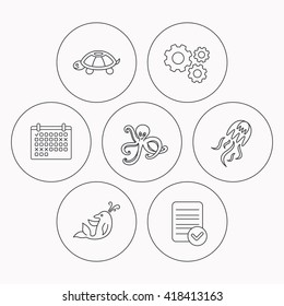 Octopus, turtle and dolphin icons. Jellyfish linear sign. Check file, calendar and cogwheel icons. Vector