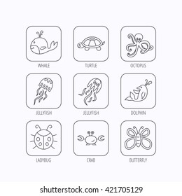 Octopus, turtle and dolphin icons. Jellyfish, whale and ladybug linear signs. Crab, butterfly flat line icons. Flat linear icons in squares on white background. Vector