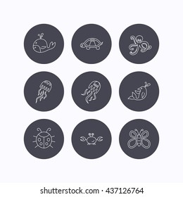 Octopus, turtle and dolphin icons. Jellyfish, whale and ladybug linear signs. Crab, butterfly flat line icons. Flat icons in circle buttons on white background. Vector