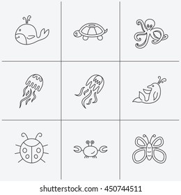 Octopus, turtle and dolphin icons. Jellyfish, whale and ladybug linear signs. Crab, butterfly flat line icons. Linear icons on white background. Vector