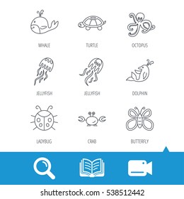 Octopus, turtle and dolphin icons. Jellyfish, whale and ladybug linear signs. Crab, butterfly flat line icons. Video cam, book and magnifier search icons. Vector