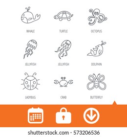 Octopus, turtle and dolphin icons. Jellyfish, whale and ladybug linear signs. Crab, butterfly flat line icons. Download arrow, locker and calendar web icons. Vector