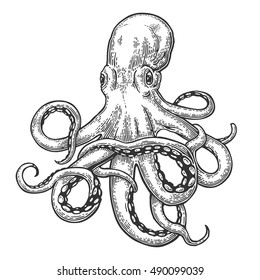 Octopus. Vector black engraving vintage illustrations. Isolated on white background.