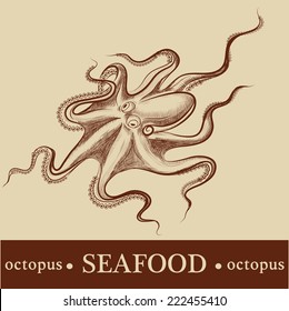 octopus. vector. detailed