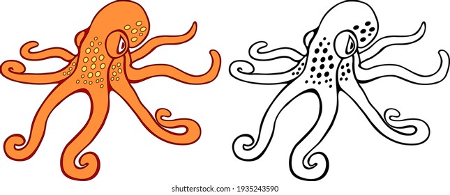 Octopus. Vector graphics. Two octopus images. Black contour. Color vector graphics. 