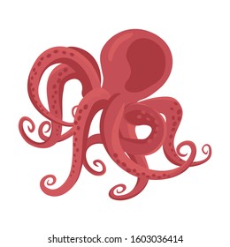 Octopus vector icon.Cartoon vector icon isolated on white background octopus.