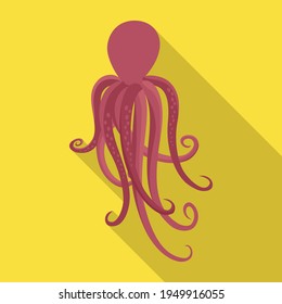 Octopus vector icon.Flat vector icon isolated on white background octopus.