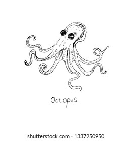 Octopus. Vector illustration.