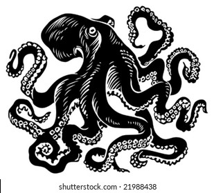 octopus vector illustration