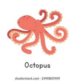 Octopus vector illustration. Cute octopus cartoon clipart, animal in flat style. Sea animals, underwater creatures, ocean animals, marine life concept. Octopus vector design isolated on white