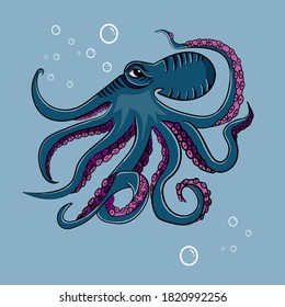 octopus vector illustration isolated with grey background